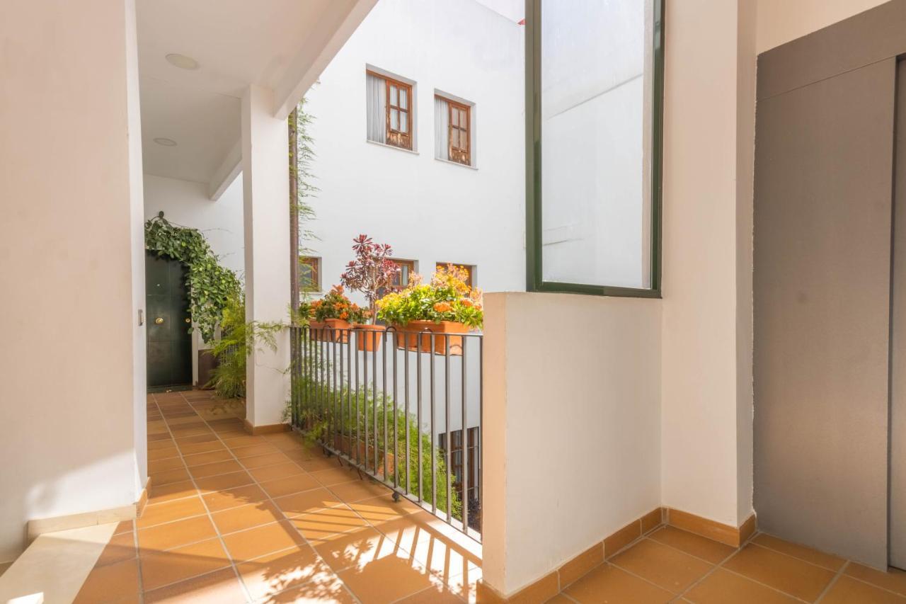 Apartamento Anais Centro Sevilla Екстер'єр фото
